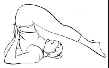 Pflug-Asana